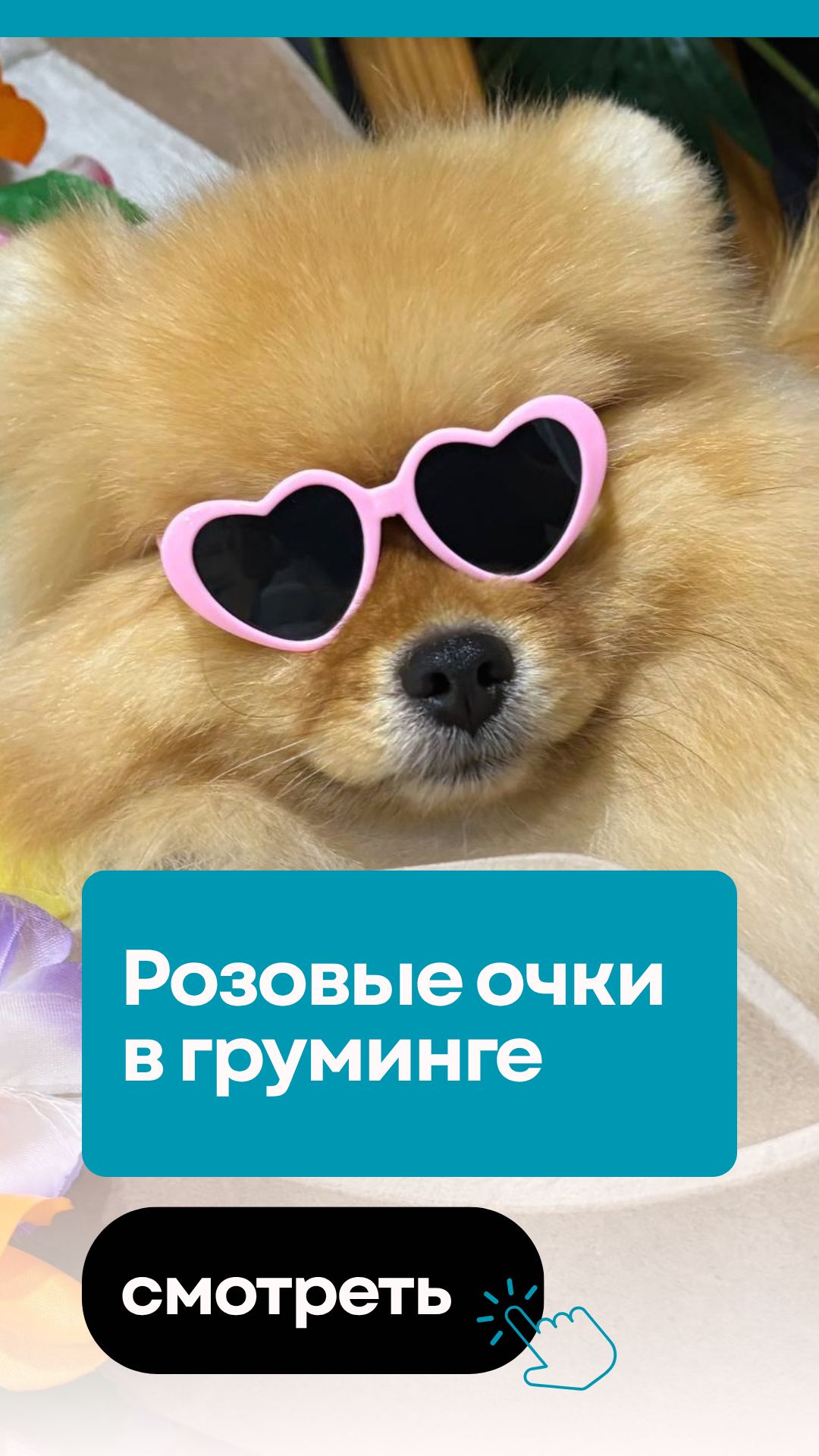 Розовые очки и реальность в груминге