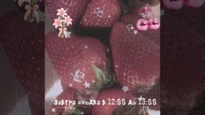 сходка Ник Eveosa09