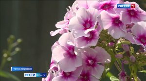 Вести-Томск, выпуск от 06.08.2026 09:30