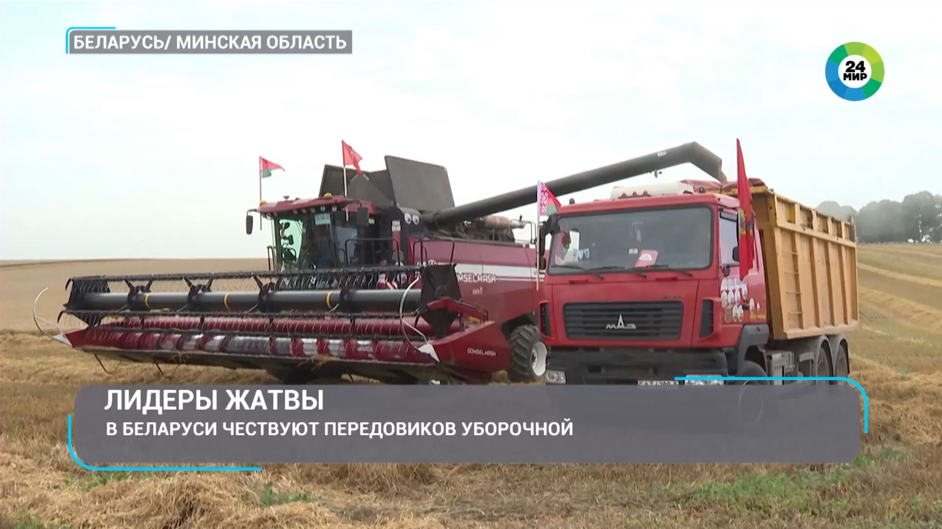 Поле вместо красной дорожки. Как в Беларуси чествуют героев жатвы?