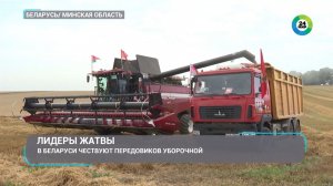 Поле вместо красной дорожки. Как в Беларуси чествуют героев жатвы?