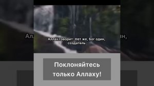 Поклоняйтесь только Аллаху