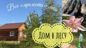 ВЛОГ ДАЧНЫЙ «ЗВЕРИНЕЦ» 🙈 ШОК😱 МУЖ НАЛОВИЛ РЫБЫ 🐟 ОГОРОД - ОДНИ РАССТРОЙСТВА😢 НА ДАЧЕ 🏡