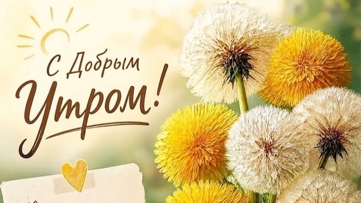 Доброе утро — красивая открытка с пожеланиями хорошего настроения ☀️