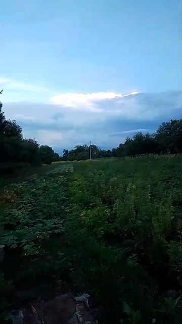 06.08.26 Сельская Новь выпуск 445