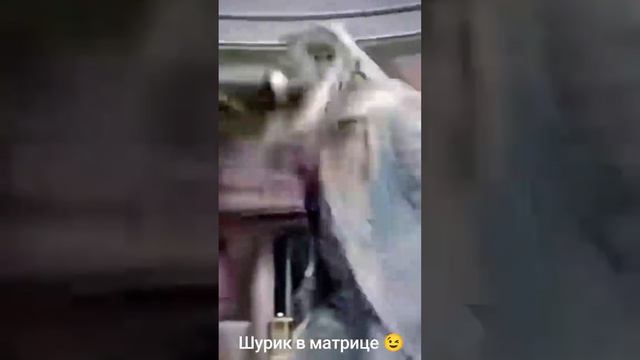 фильмы 3 часть Шурика и разные приключения!