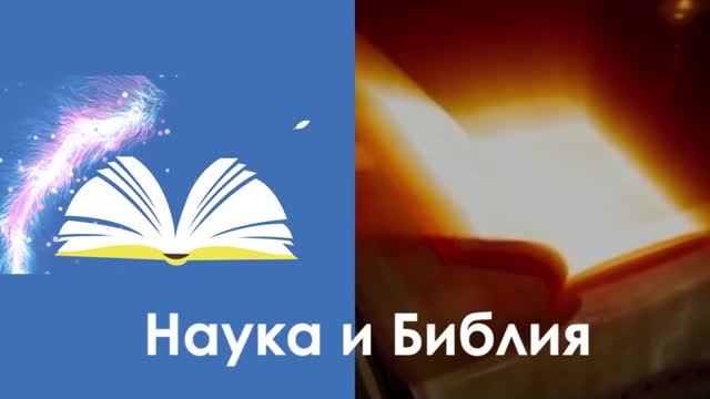 4.  День 3  творения мира.  Наука и Библия.