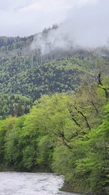 Twin Peaks (Гузерипль)