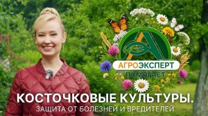 Косточковые культуры. Защита от болезней и вредителей