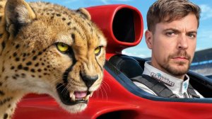 Самая Быстрая Машина в Мире Против Гепарда! MRBEAST МИСТЕРБИСТ НА РУССКОМ мистер бист