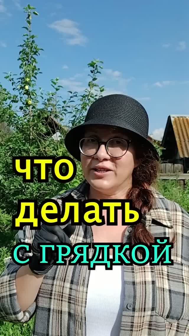 Что делать с грядкой после уборки чеснока и лука