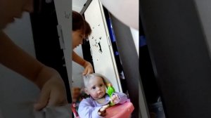 реборны