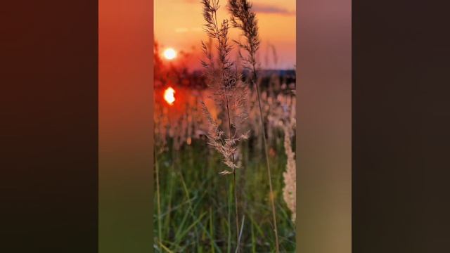 ЕВГЕНИЙ ТИХИЙ ЗАКАТ. ВИДЕОМОНТАЖ ЕЛЕНА МЕЛЬНИКОВА.
