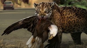 В Америке Скоро Может Появиться Ещё Одна Большая Кошка