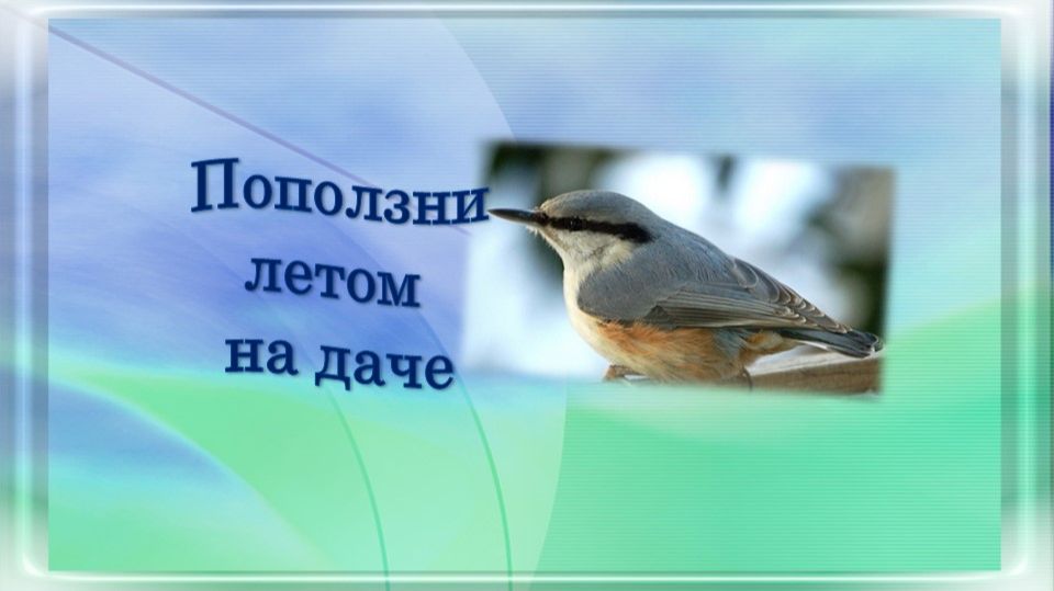 Поползни летом на даче