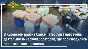 Курортном районе Петербурга пресечена деятельность нарколаборатории, где производилась «синтетика»