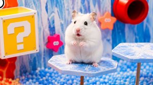 🐹⛏️Хомяк сбегает из запутанного лабиринта в Minecraft🙀🏆😊