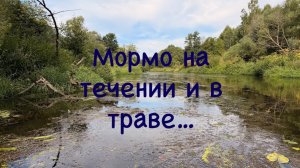 Мормышинг. Ловля на реке. Течение. Трава.