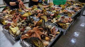 Блюдо из 12 видов морепродуктов на пару и суп с целой курицей — корейская уличная еда