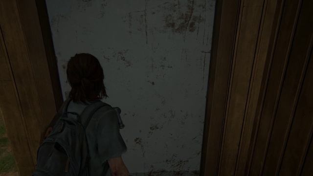 The Last of Us Part II Remastered часть 25