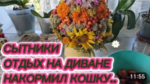 САМВЕЛ АДАМЯН, СЫТНИКИ, ОТДЫХ НА ДИВАНЕ, НАКОРМИЛ КОШКУ..