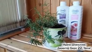 Супер #активатор роста для растений. #эксперимент превзошёл все ожидания!