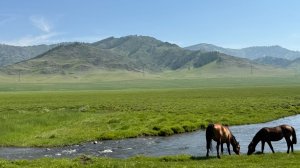 Чуйский  тракт. Едем в Замульту.