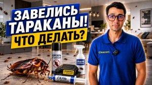 Появились тараканы в доме, что делать?