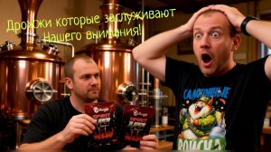 НАШУМЕВШИЕ ТУРБО ДРОЖЖИ, ANGEL SPIRIT 48,КТО ВЫ ТАКИЕ,ПРОВЕРЯЕМ ЧТО ДА КАК,ПОГНАЛИ!
