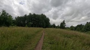 прогулка в лесу серия 24