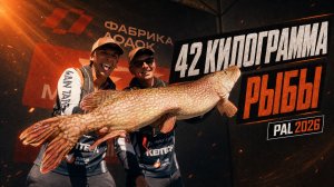 42 килограмма рыбы. Идем на первом месте | PAL 2026