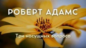 Три насущных вопроса. Роберт Адамс. Живой голос