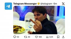 Telegram-Gründer Pavel Durow unter Terrorverdacht!
