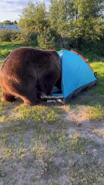так и было в моем сне