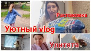 vlog: Наши будни с дочкой в Иванове// Обзор посылочки// Пересадка улитят// Вечерняя наша прогулочка