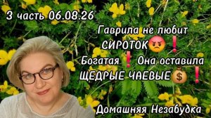 3 часть. Гаврила не любит СИРОТОК😡❗️Богатая❗️Она оставляет ЩЕДРЫЕ ЧАЕВЫЕ❗️