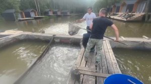 Запуск форели 06.08