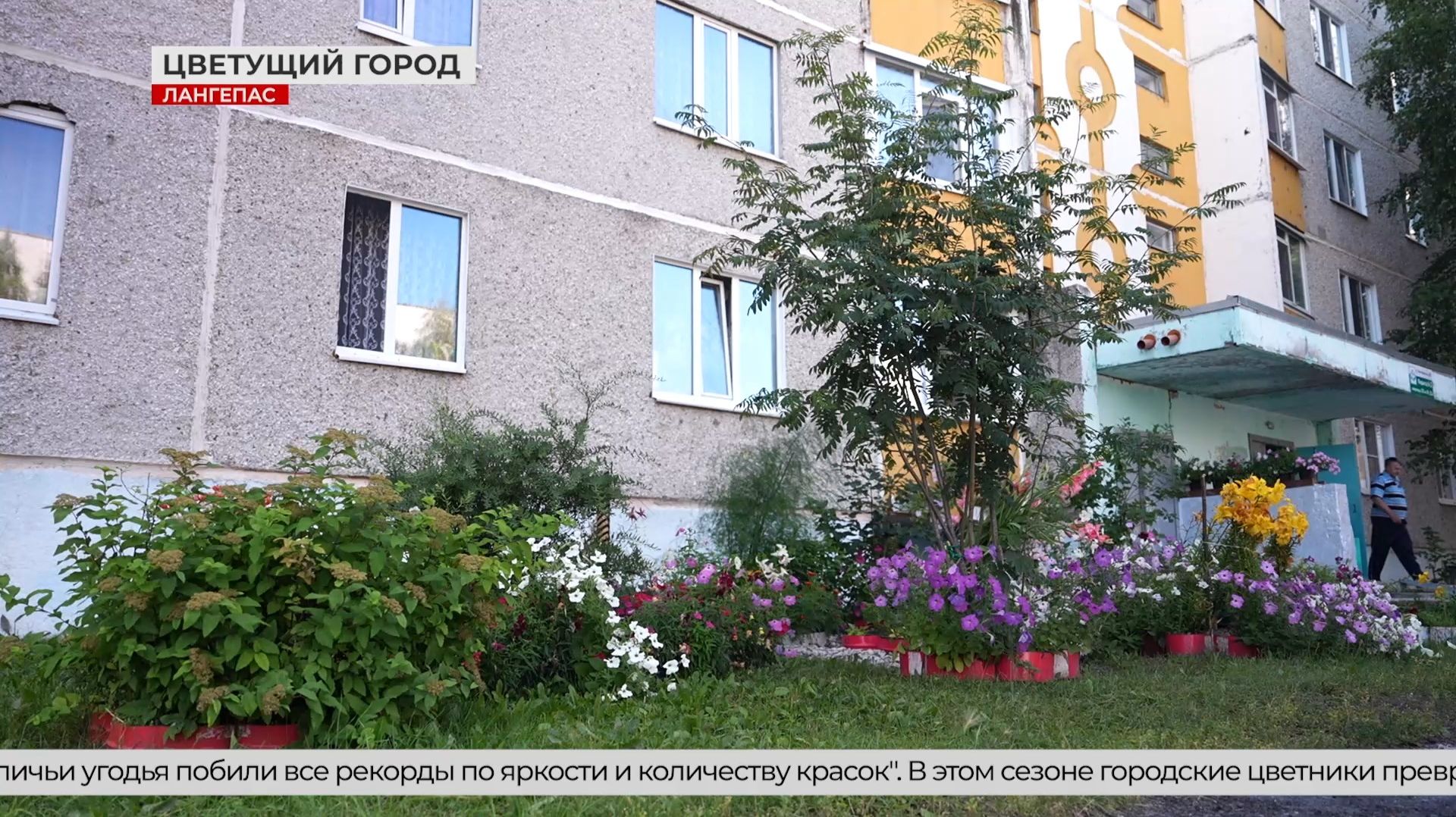 Лангепас утопает в цветах