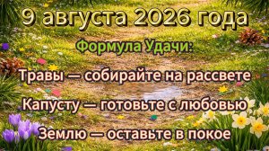 Народные приметы на 9 августа 2026 года