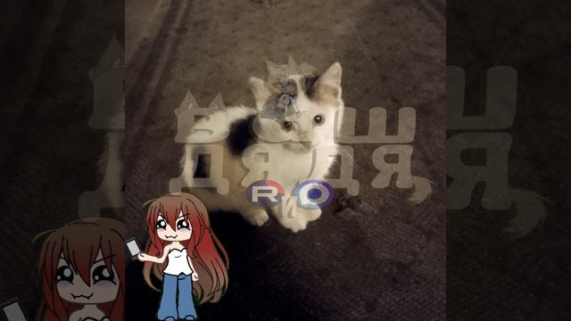 ооооооотоарбард