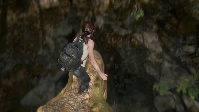 The Last Of Us™ Part II Remastered часть 23