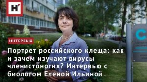 Портрет российского клеща: о вирусах членистоногих и микробиоте человека — биолог Е.Н. Ильина