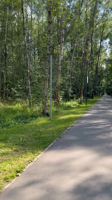 Что скрывает парк в Электростали? Гуляем и собираем городские легенды.
