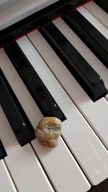Криптоколобок из почки