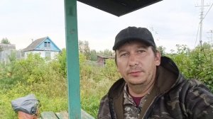 борьба с осами