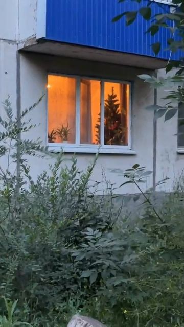 Срочные новости ЧП