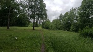прогулка в лесу серия 49
