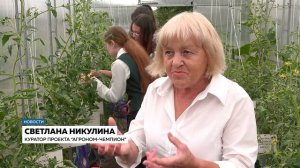 Томат-гигант: амурские школьники вырастили овощного рекордсмена