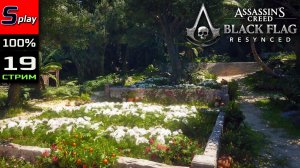 Assassin's Creed Black Flag Resynced на 100% - [19 - стрим] - Собирательство