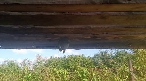 Украсила окно, дом и беседка готовы, выкопали всю картошку, сделала стол и башню-перголу